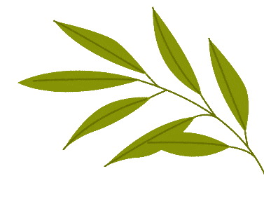 篮球比赛的基本规则讲解_最初的篮球比赛规则简单_篮球比赛规则新手入门