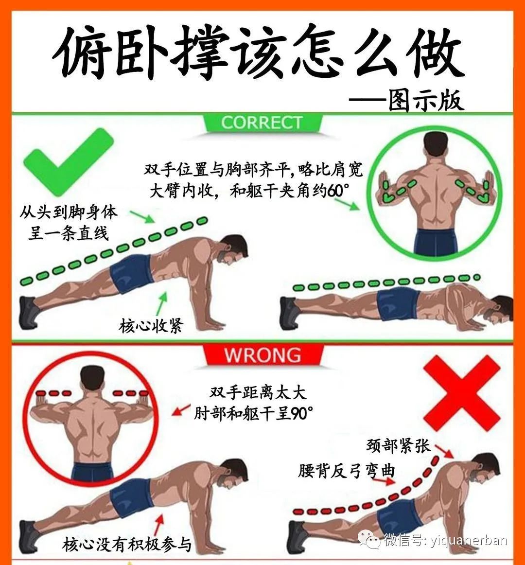 颈动脉斑块能做俯卧撑运动_俯卧撑运动学动作分析_俯卧撑运动