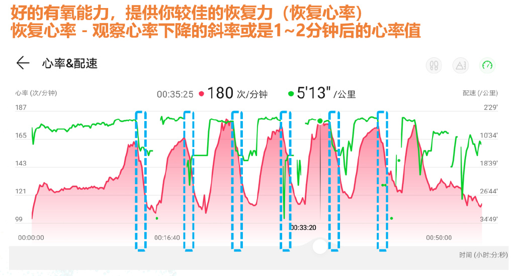 运动后过量氧耗的影响因素_运动后过量氧耗的生理学意义_运动后过量氧耗