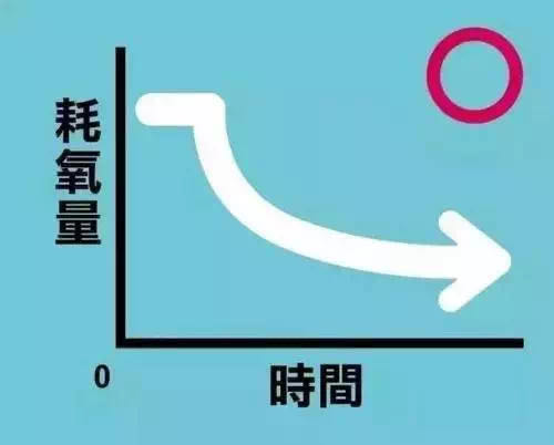 运动后过量氧耗_运动后过量氧耗和氧亏的区别_运动后过量氧耗的影响因素