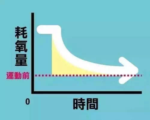 运动后过量氧耗_运动后过量氧耗的影响因素_运动后过量氧耗和氧亏的区别