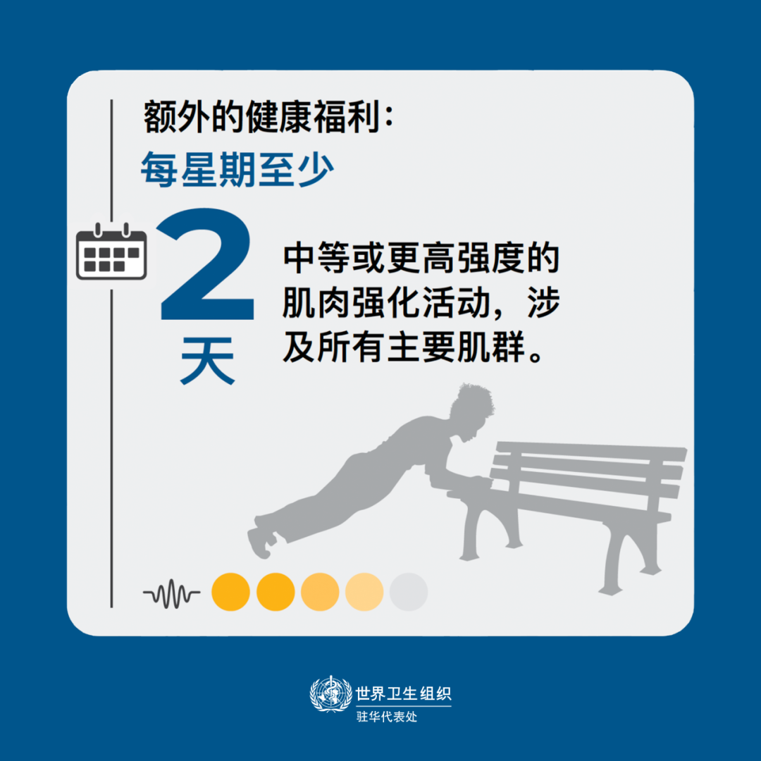 每日锻炼量_每日的运动量_每日运动量