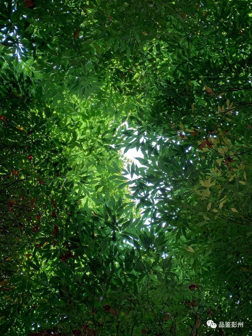 健身绿道的英文_绿道健身_健身绿道是什么