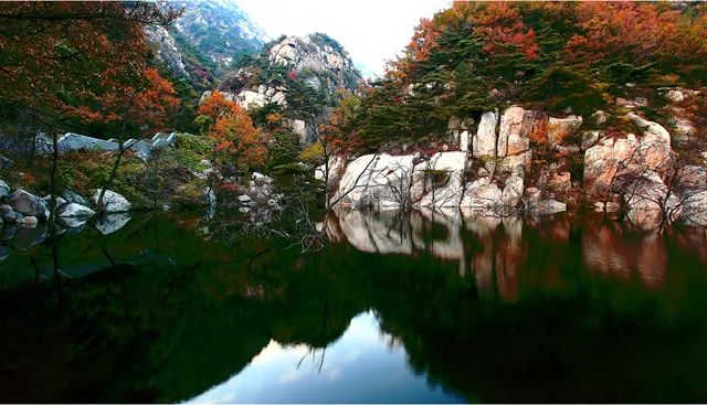 泰安市马拉松_泰安马拉松2021_泰安马拉松比赛