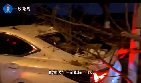 一级运动员_运动员级别划分表图_运动员等级标准2021最新