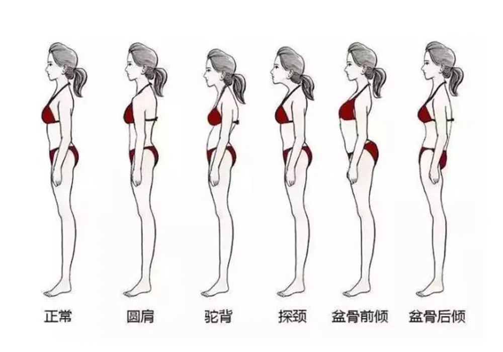 健身公开课ppt_健身公开课_健身公开课主题
