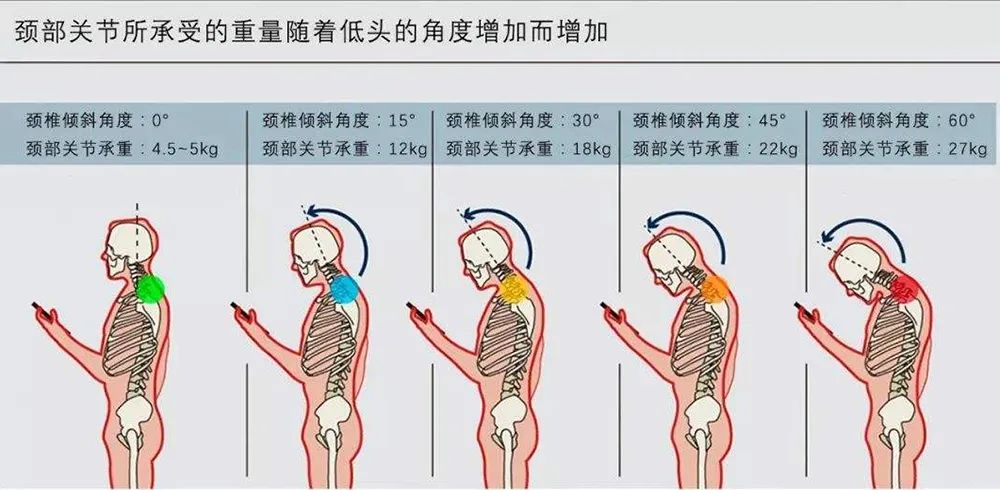 健身公开课ppt_健身公开课_健身公开课主题